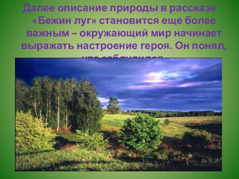 Художественное описание природы. Красивые описания природы. Описание природы в рассказе. Яркое описание природы. Описание природы в рассказе Бежин луг.