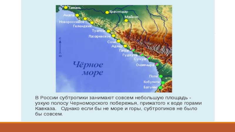 Страна где море горы и субтропический климат. Субтропики Черноморского побережья. Субтропики на карте России. Где находятся субтропики на карте. Субтропики России презентация.