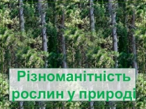 Презентація до уроку природознавства Різноманітність рослин у природі (3 клас)
