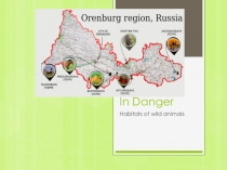 Презентация к уроку В опасности (9 класс. Английский в фокусе)
