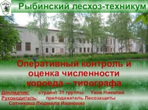 Короед-типограф