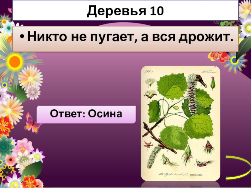 Загадка никто. Никто не пугает а вся дрожит. Отгадка на загадку никто не пугает а вся дрожит. Загадка никто не пугает а вся дрожит ответ. Загадка никто не пугает а Ася дрожи т.