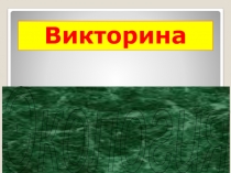 Презентация. ЭКОЛОГИЧЕСКАЯ БЕЗОПАСНОСТЬ Викторина. (8 класс)