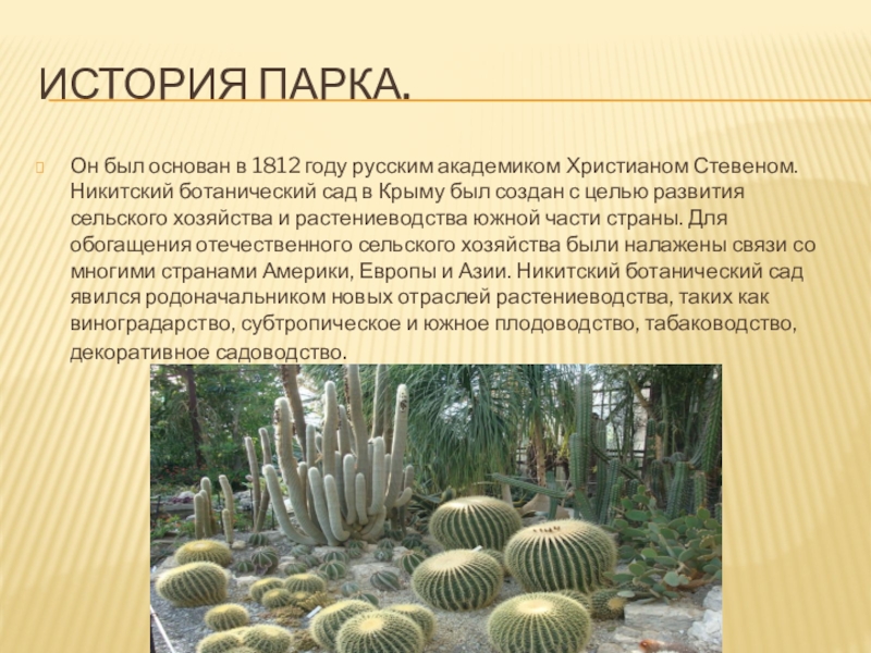 История парка.Он был основан в 1812 году русским академиком Христианом Стевеном. Никитский ботанический сад в Крыму был