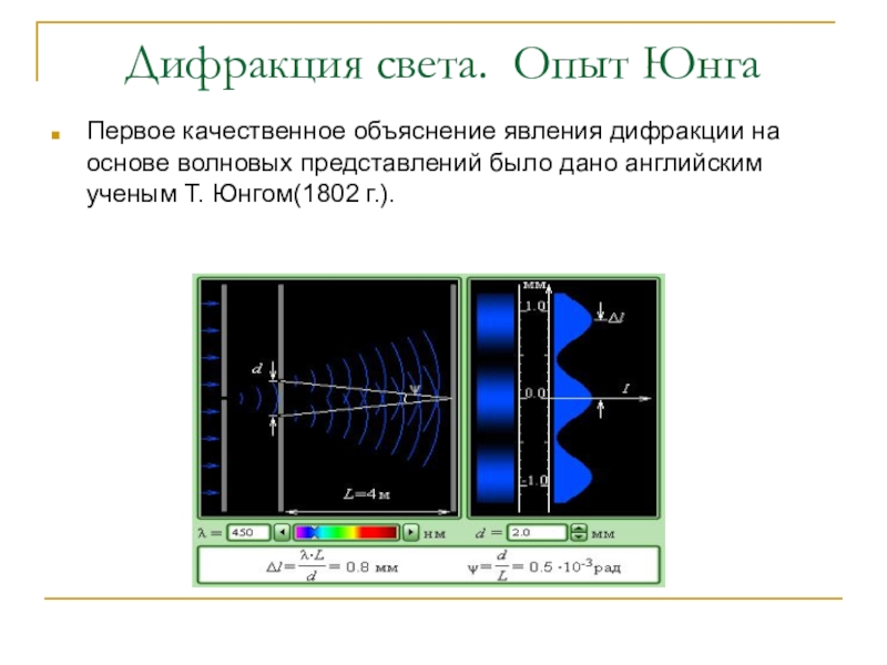 Опыт юнга презентация