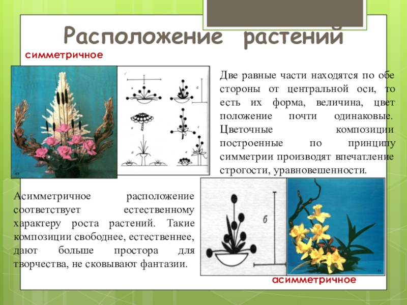 Виды цветочной композиции 2 класс