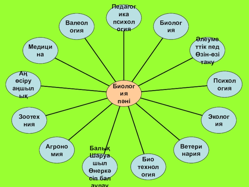 Кәсіптік бағдар беру презентация