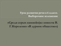 Презентация к уроку литературы по из повести В.Г.Короленко В дурном обществе