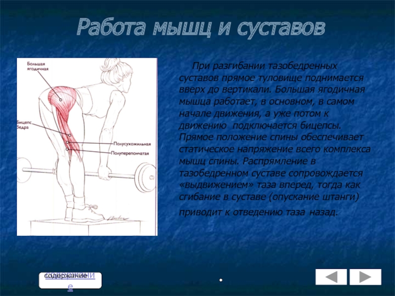 Вращение в тазобедренном суставе. Разгибание в тазобедренном суставе. Вращение тазобедренного сустава. Вращение в бедренном суставе. Разгибание таза в тазобедренном суставе.