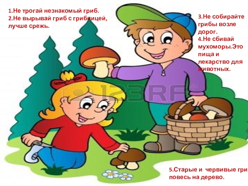 Вова рисует гриб и говорит сам о себе вова разукрашивает гриб