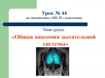 Презентация по анатомии на тему Общая анатомия дыхательной системы (11 класс)