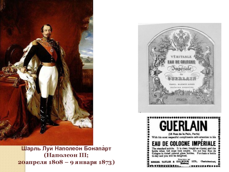 Наполеон 3 годы правления. Шарль Луи Наполеон Бонапарт (1808-1873). Шарль Наполеон Бонапарт (Шарль Мария Жером Виктор Наполеон). Луи Наполеон третий (20 апреля 1808 - 9 января 1873) биография должность. Конституция Наполеона 3.