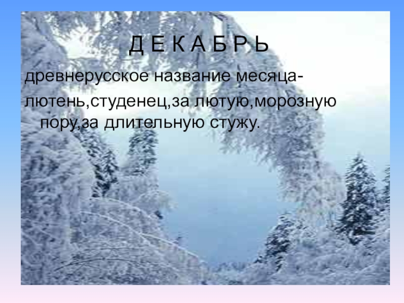 Что значит декабре. Лютень месяц. Декабрь Лютень. Старинные названия декабря. Название месяцев Лютень.