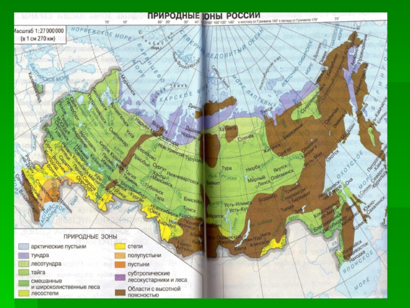Почвы какой из перечисленных природных зон россии