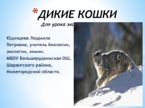 Презентация к уроку биологии в 7 классе тема: Класс Млекопитающие.