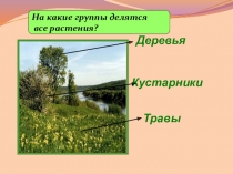 Презентация к уроку  Части растений