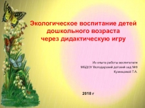 Презентация Экологическое воспитание детей дошкольного возраста через дидактическую игру
