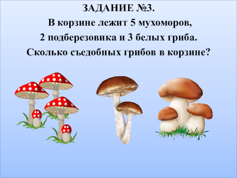 Сколько грибов собрала юля