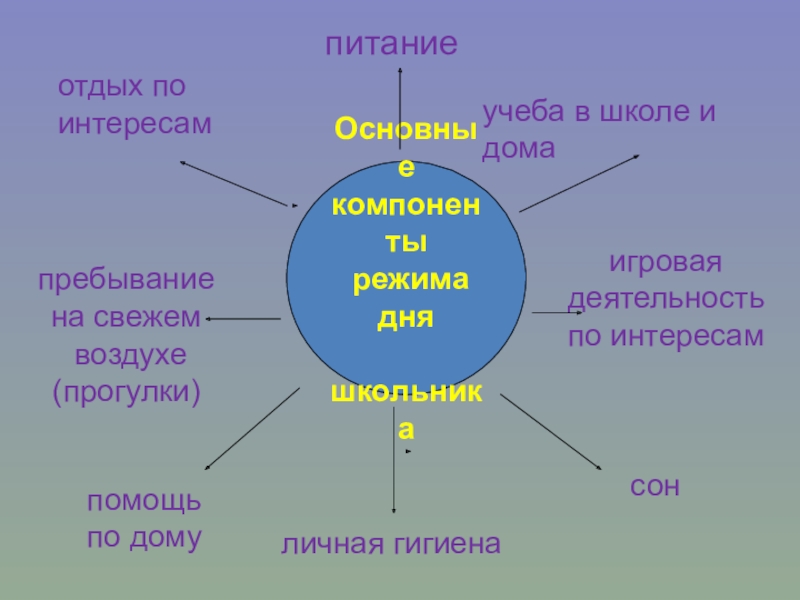 Основные элементы режима дня