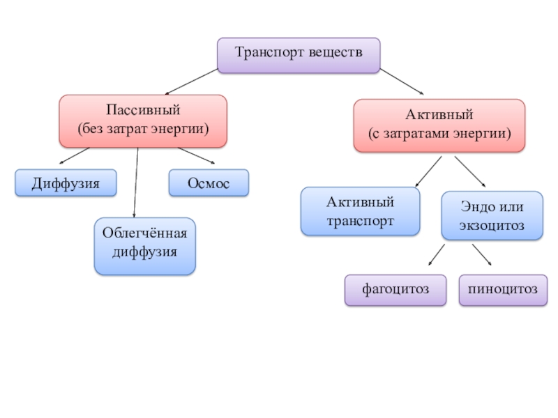 Состав транспорта. Затрат энергии пассивный и активный. Энергия активных примесей.