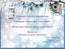 Презентация - фотоотчет Птицы на моей кормушке