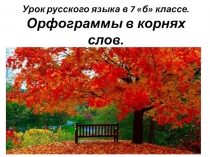 Урок русского языка в 7 б классе. Орфограммы в корнях слов.