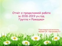 Презентация  Отчет о проделанной работе гр  Ромашка