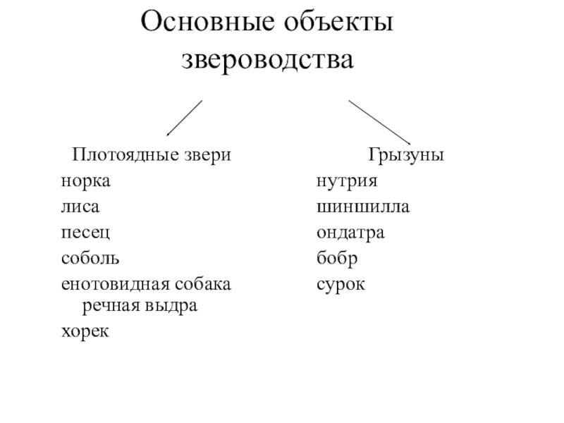 Звероводство презентация 7 класс