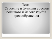 Презентация по биологии на тему строение и функция кругов кровообращения 8 класс