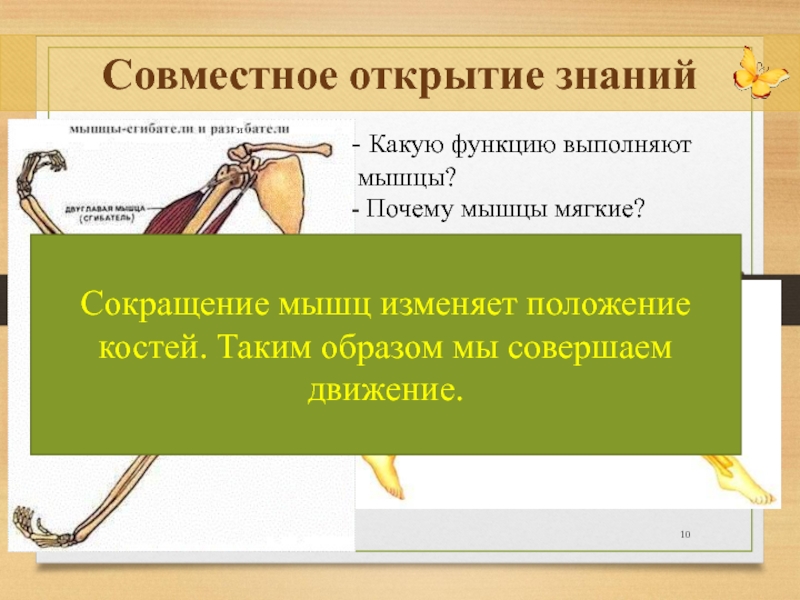 Открывают совместный. Какие функции выполняют мышцы. Перечислите какие функции выполняют мышцы. Какую работу выполняют мышцы. Какую работу выполняют мышцы 3 класс.