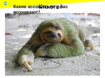 Презентация по математике для 7 класса на тему Умножение многочлена на многочлен