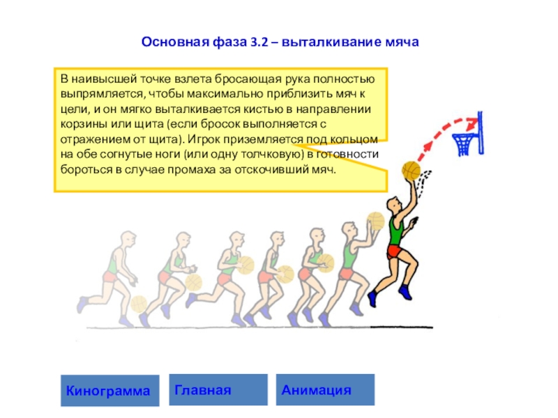 Основная фаза. Бросок одной рукой сверху в движении после ведения. Фазы броска. Броска мяча в движении. Бросок мяча в движении с двух шагов.