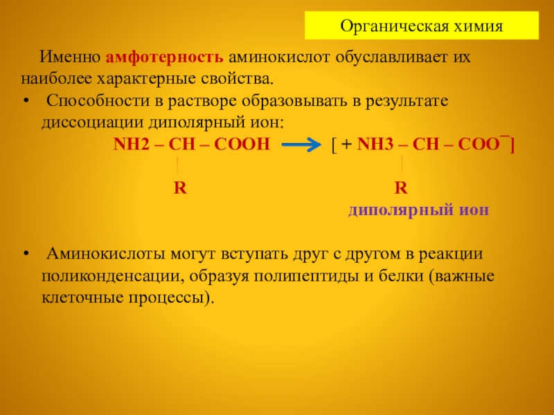Аланин проявляет амфотерные свойства. Амфотерность аминокислот. Аминокислота + nh3. Химические свойства аминокислот Амфотерность. Амфотерность Альфа аминокислот.