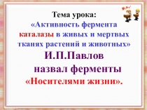 Презентация по биохимии:Активность фермента каталазы в живых и мертвых тканях растений и животных