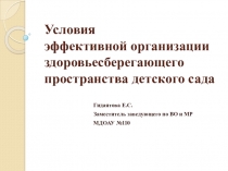Презентация Условия эффективной организации здоровьесберегающего пространства детского сада