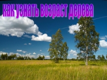Исследовательская работа с презентацией Как узнать возраст дерева