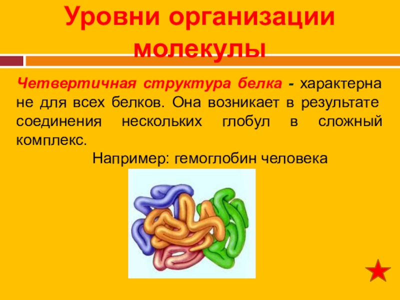 Четвертичная структура белка образуется в результате взаимодействия. Четвертичная структура белка эта структура. Для всех белков характерна четвертичная структура. Четвертичная структура белка характерна для каких белков. Четвертичная структура белка характерна для.