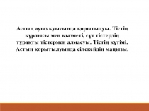 Астың қорытылуы 8 сынып