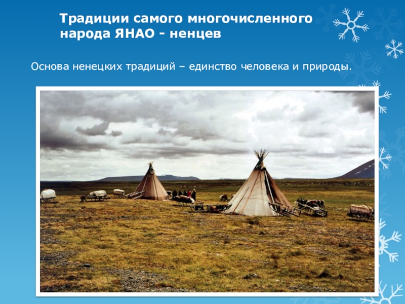 3 самых многочисленных народа. Ненцы народ традиции. Традиции народов ЯНАО. Традиции Ямала. Традиции ненцев.