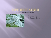 Презентация по природоведению на теме