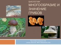 Презентация к уроку Царство Грибы