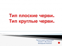 Тип Черви презентация- 7 класс.