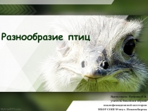 Презентация по биологии на тему Разнообразие птиц (7 класс)