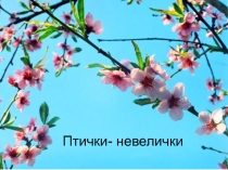Презентация к уроку технология Птички-невелички