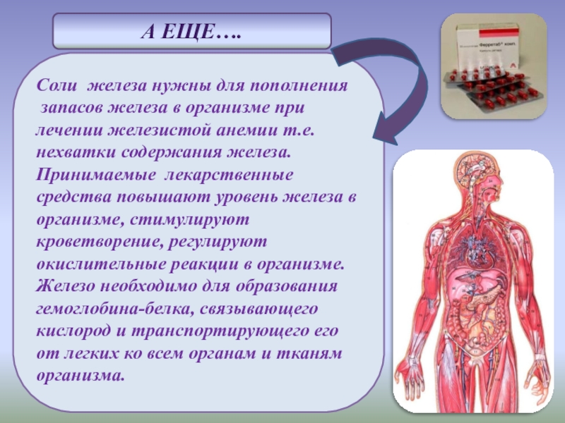 Презентация по теме железо 9 класс