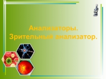Презентация по биологии на тему Органы чувств. Зрительный анализатор (8 класс)