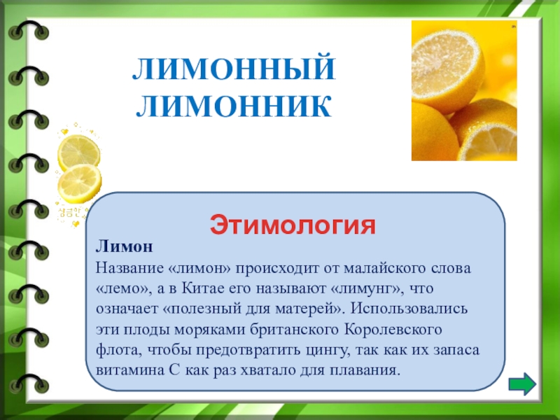 Предложение со словом лимонный. Лимон для презентации. Презентация про лимон для дошкольников. Лимон словарное слово. Происхождение слова лимон.