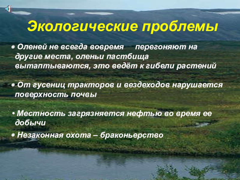 Проблемы природных зон. Экологические проблемы т. Экологические проблемы тундры. Экологические проблемы туедра. Тундра проблемы экологии.