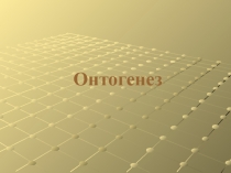 Презентация по биологии на тему Онтогенез