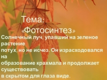 Презентация в 6 классе фотосинтез
